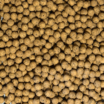Bouillette Crème Tiger