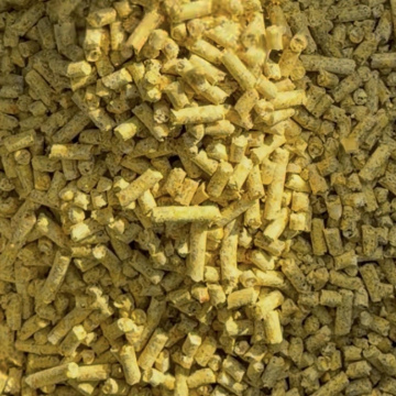 Baby Corn Pinneappel 2kg , 5kg ou 10kg