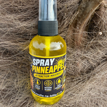 Spray Pinneappel 100ml