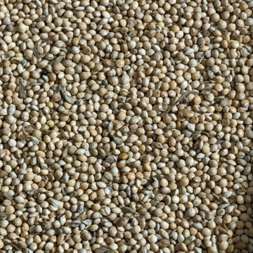 Millet 2kg